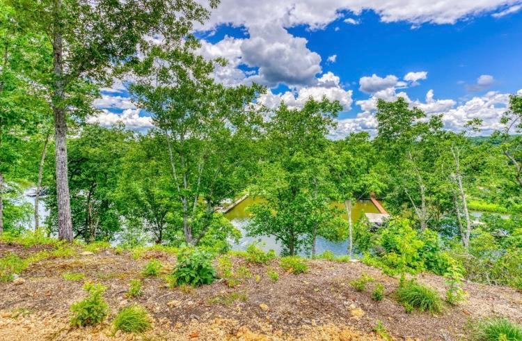 The Aries-A Stargazing, Luxury Glamping Tent Rogersville Exterior photo